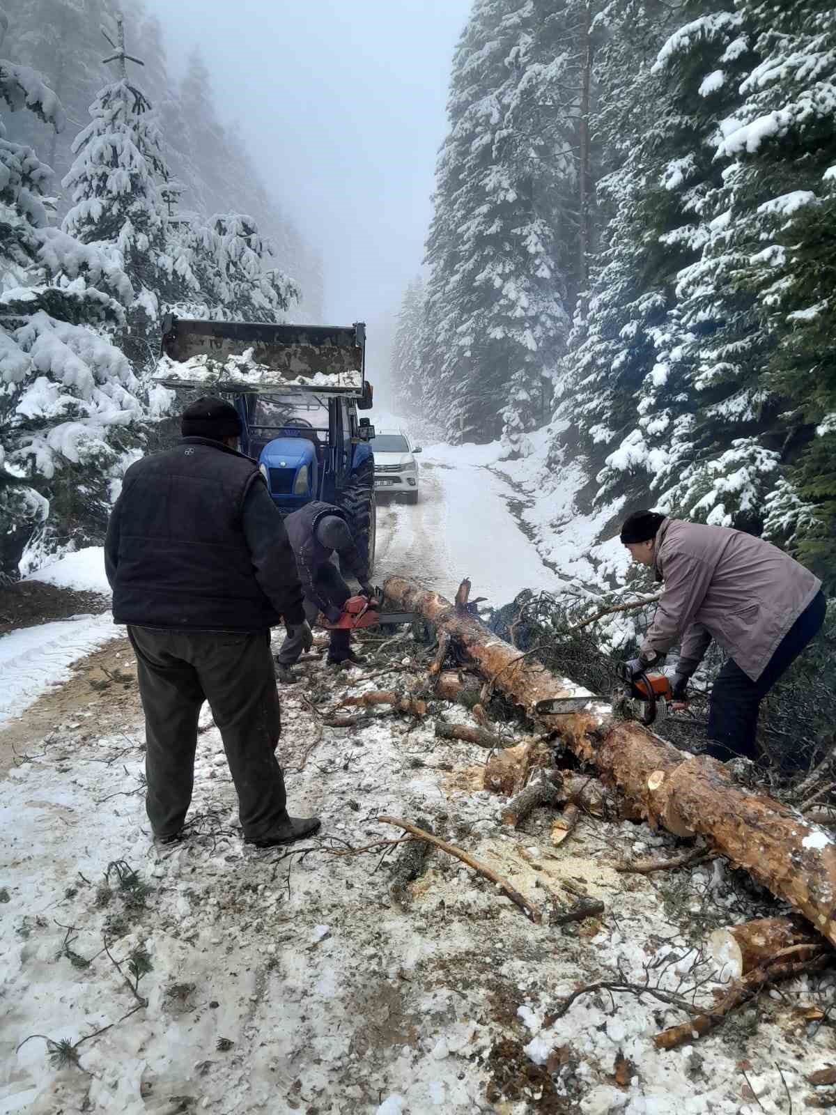 Bolu’da karla kaplanan yayla yollarını köylüler açtı
