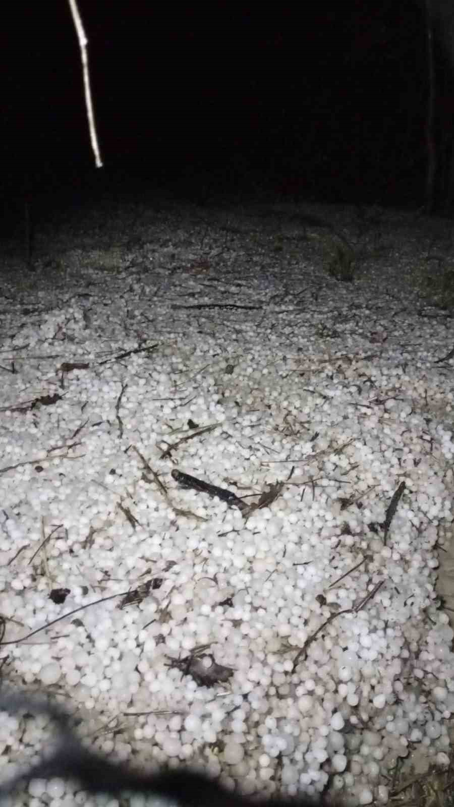 Bolu’da sabaha karşı yağan dolu yeşil alanları beyaza bürüdü
