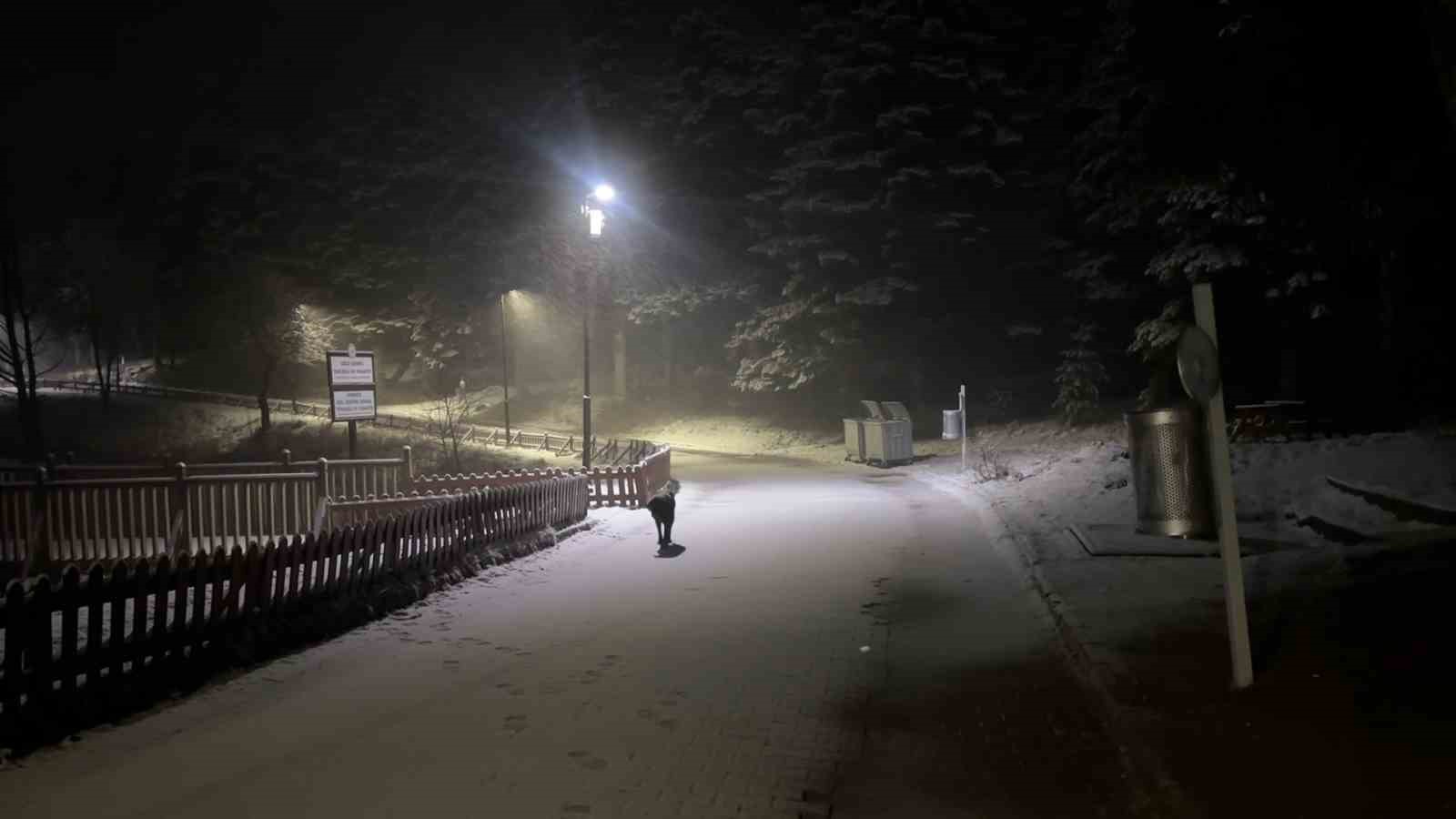 Bolu’nun incisi beyaz örtüyle kaplandı
