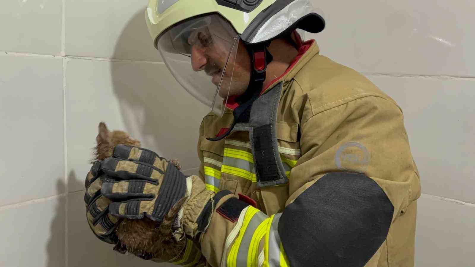Boruda mahsur kalan kedi duvar kırılarak kurtarıldı
