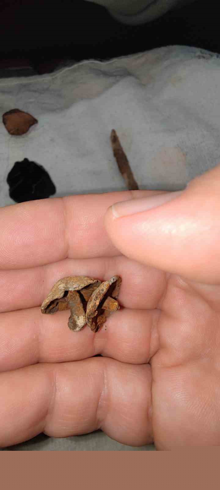 Botan Vadisi Milli Park’ta tarihi eser olduğu düşünülen objeler bulundu
