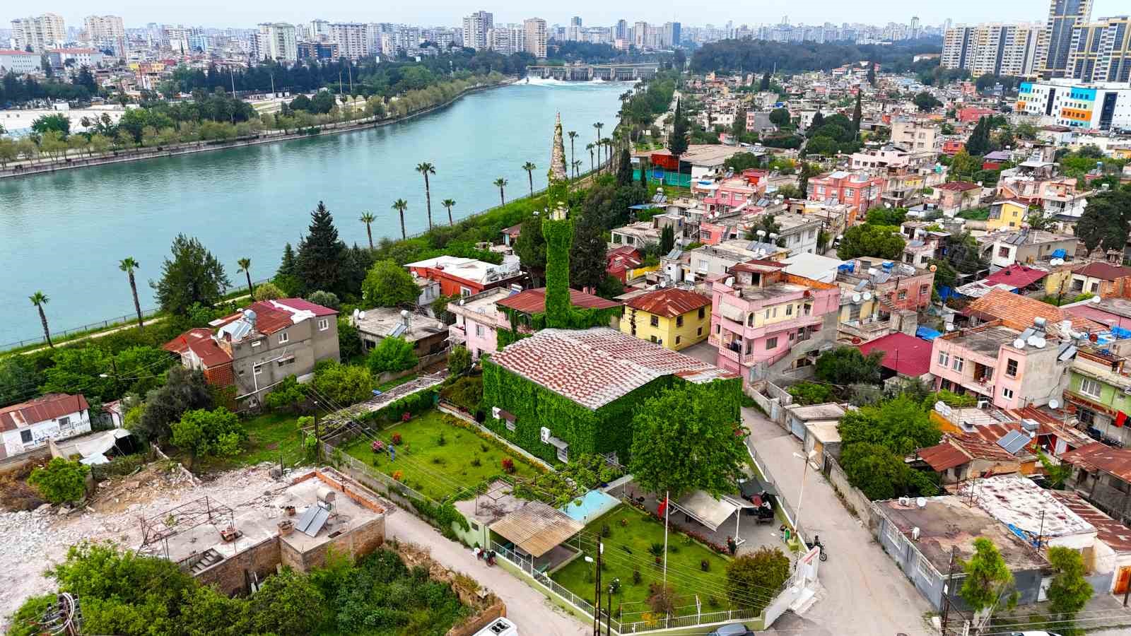 Botanik bahçeyi andıran cami, yeniden sarmaşıklarına kavuştu
