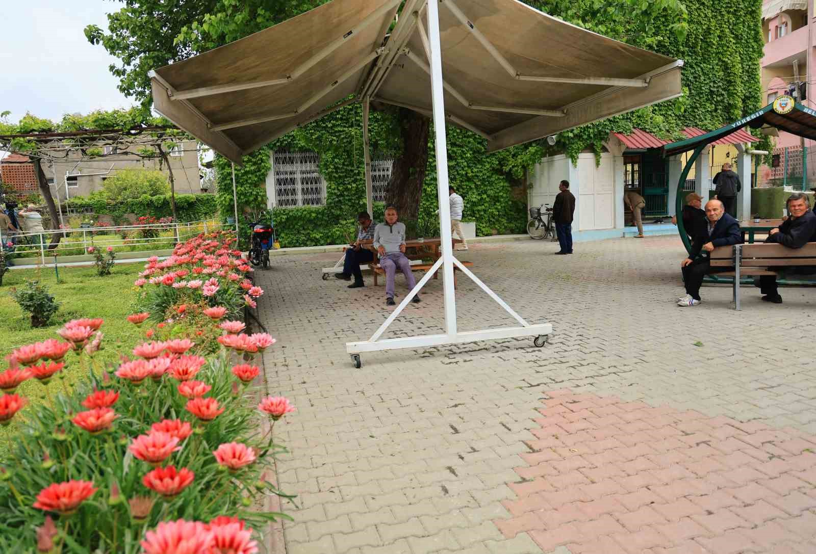 Botanik bahçeyi andıran cami, yeniden sarmaşıklarına kavuştu
