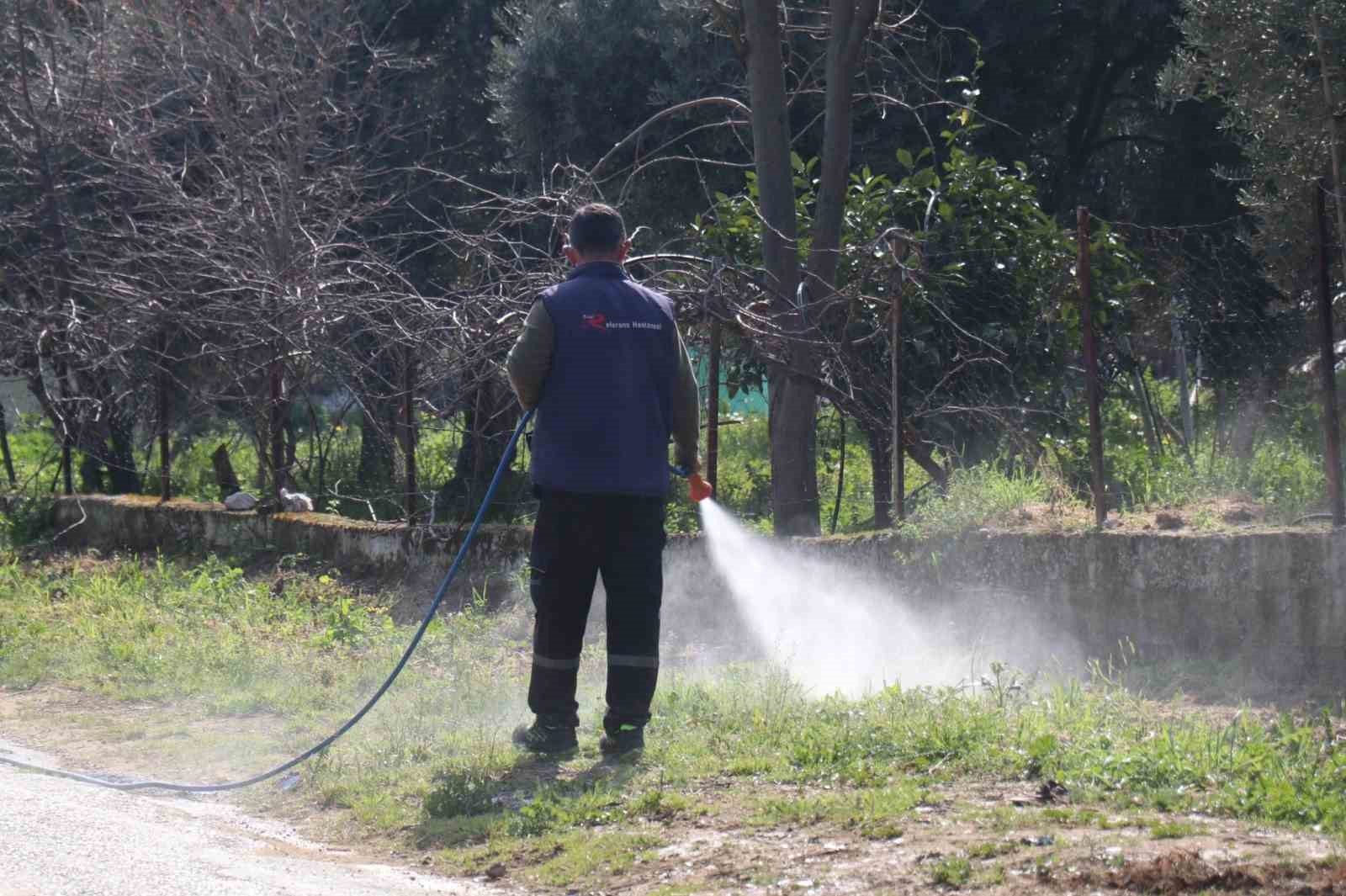 Bozdoğan bayrama hazırlanıyor
