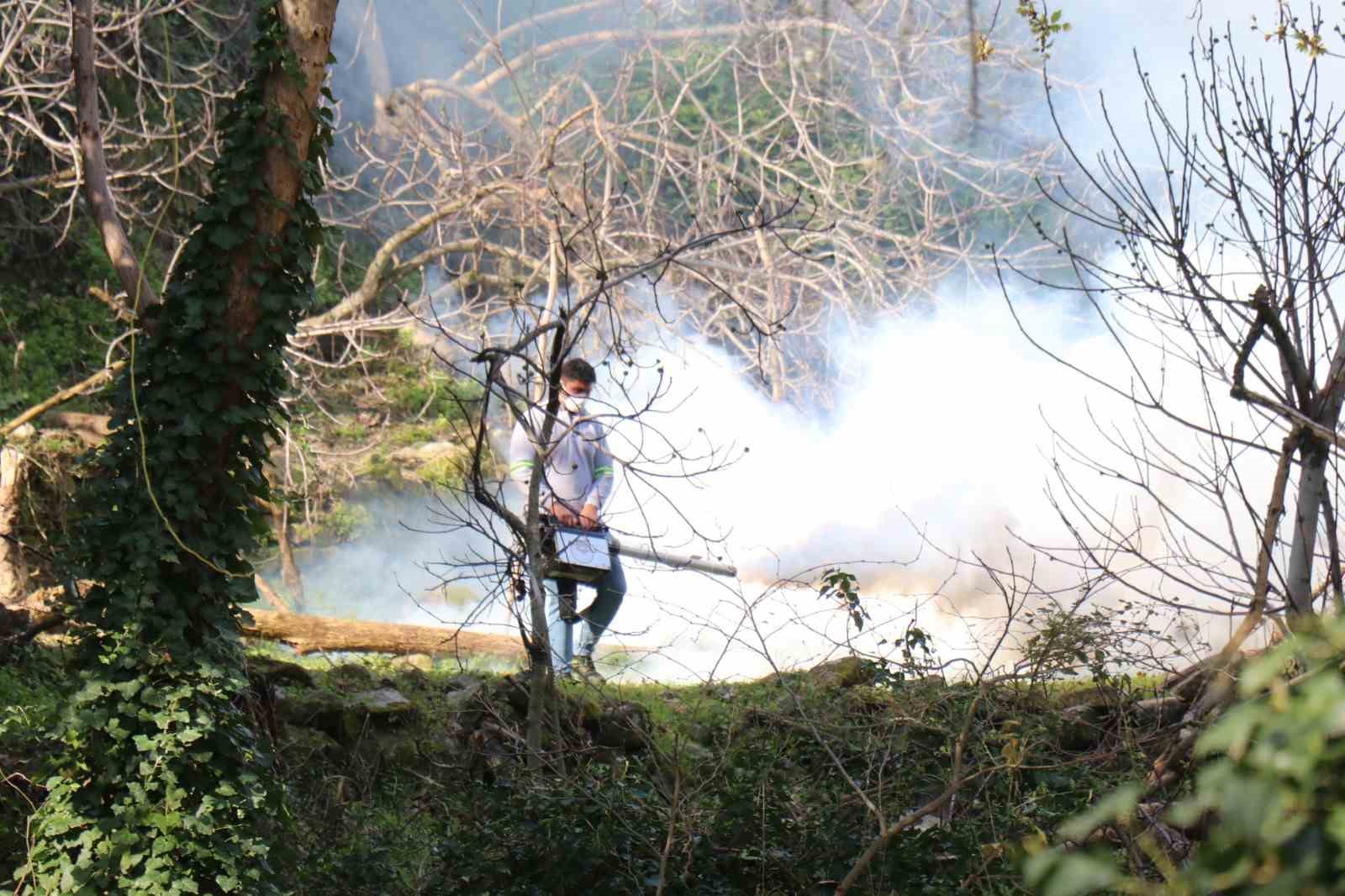 Bozdoğan Belediyesi ilaçlama çalışmalarını aralıksız sürdürüyor
