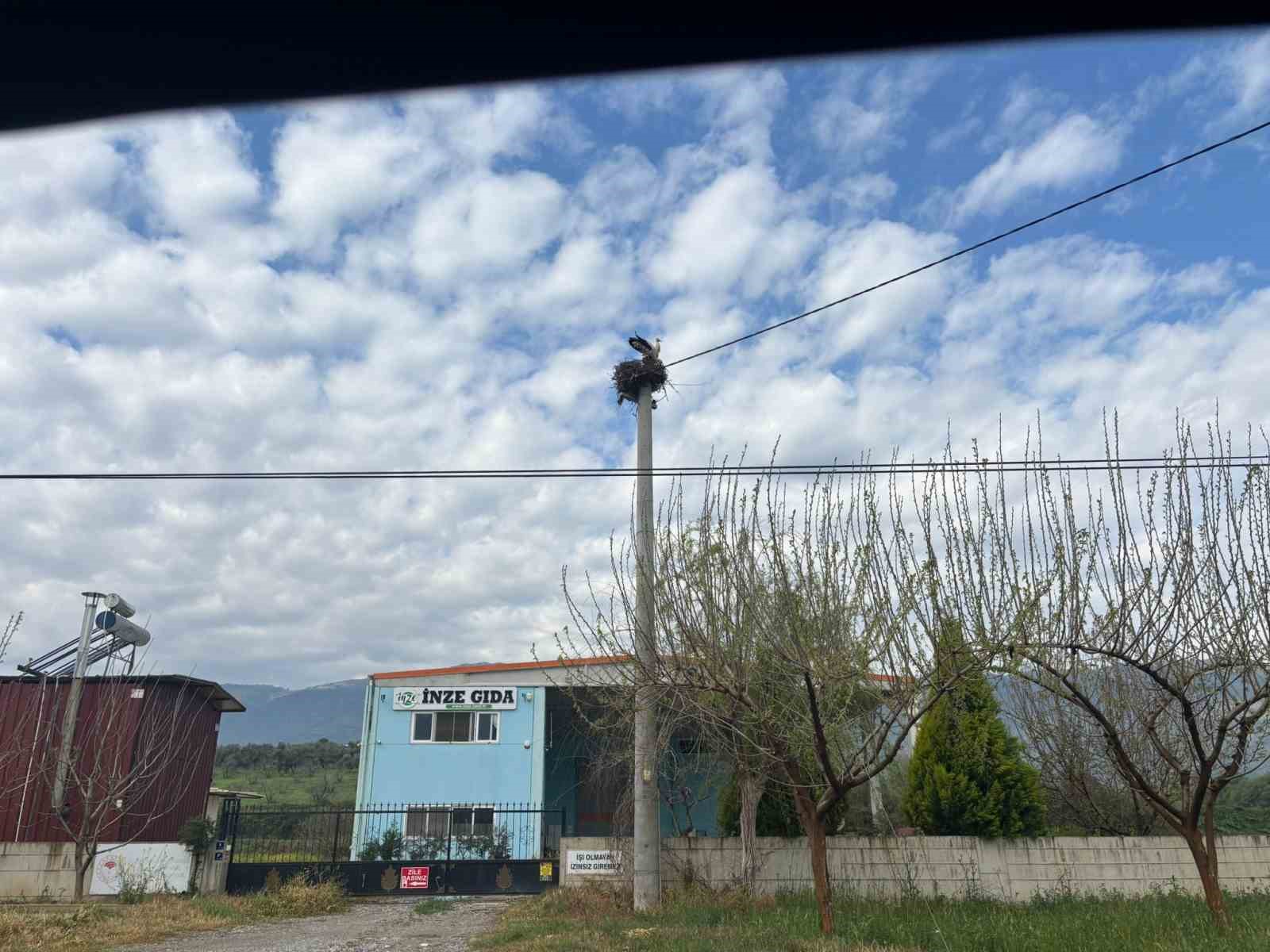 Bozdoğan’da baharın müjdecisi leylekler yuvalarına döndü
