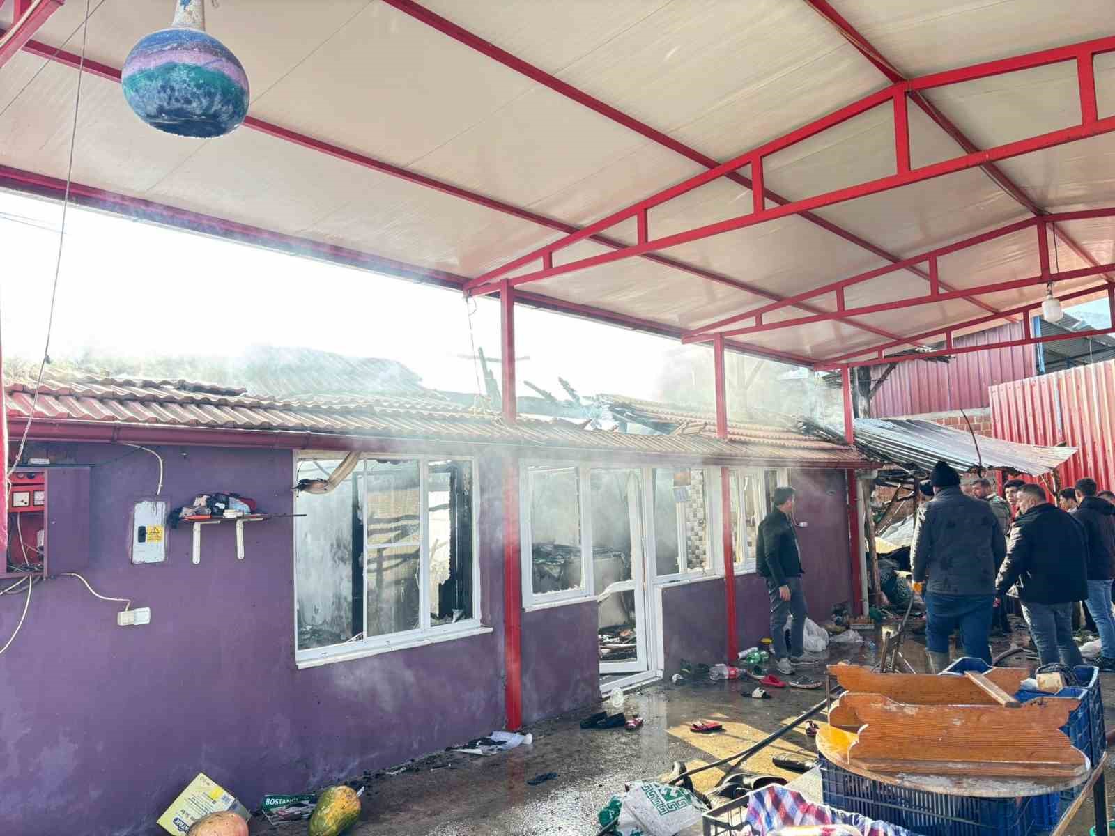 Bozdoğan’da ev alevlere teslim oldu
