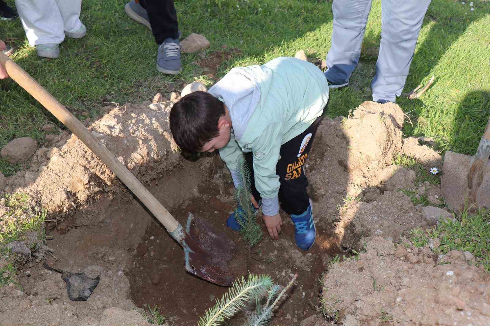 Bozdoğan’da fidan dikimi
