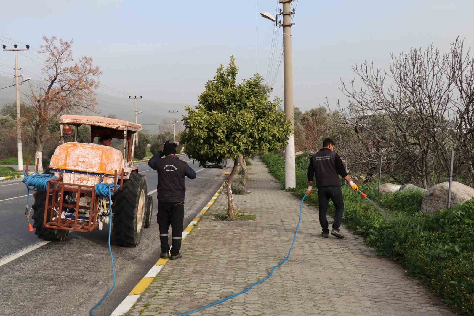 Bozdoğan’da yabani ot mücadelesi
