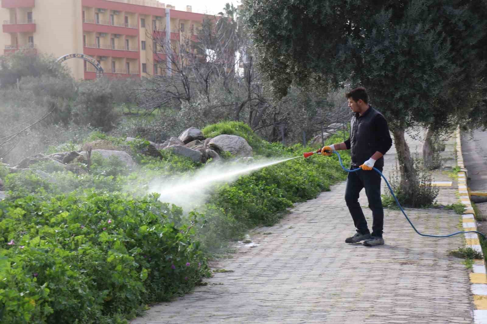 Bozdoğan’da yabani ot mücadelesi
