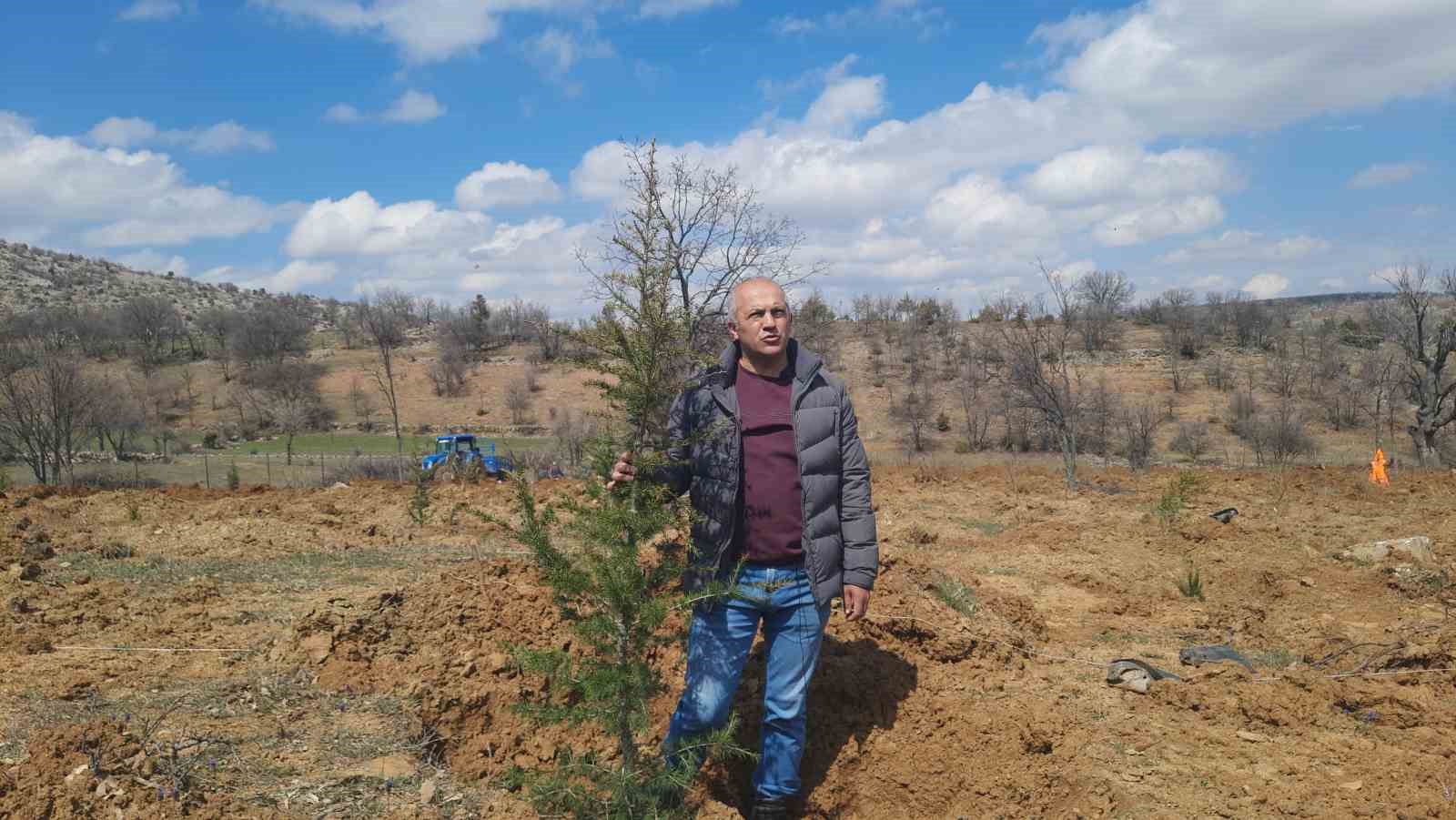 Bozkır’da 13 dönümlük alanda dev ağaçlandırma projesi
