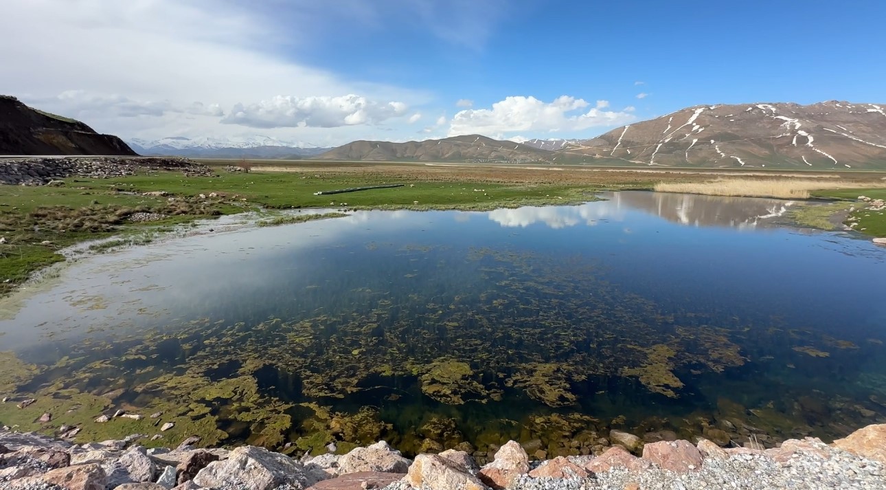 Brezilya’nın ‘Yılan Adası’ değil Yüksekova
