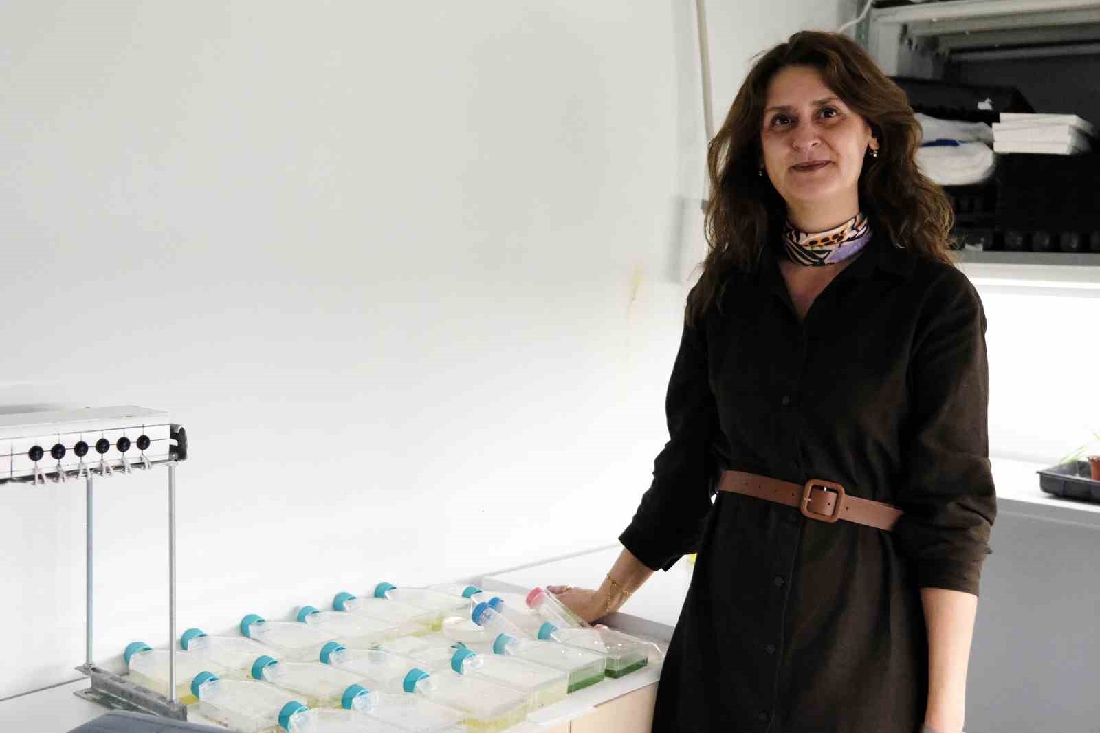 BŞEÜ akademik alanda önemli bir başarıya imza attı
BŞEÜ akademik alanda önemli bir başarıya imza attı