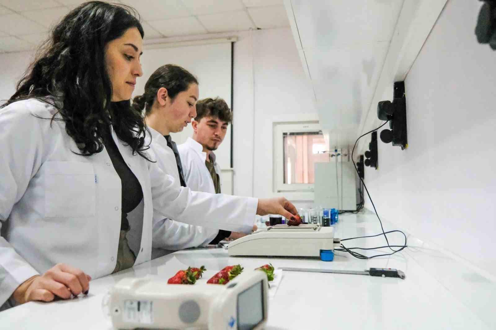 BŞEÜ’de ’Analiz Laboratuvarı’ tarım araştırmalarına güç katacak
