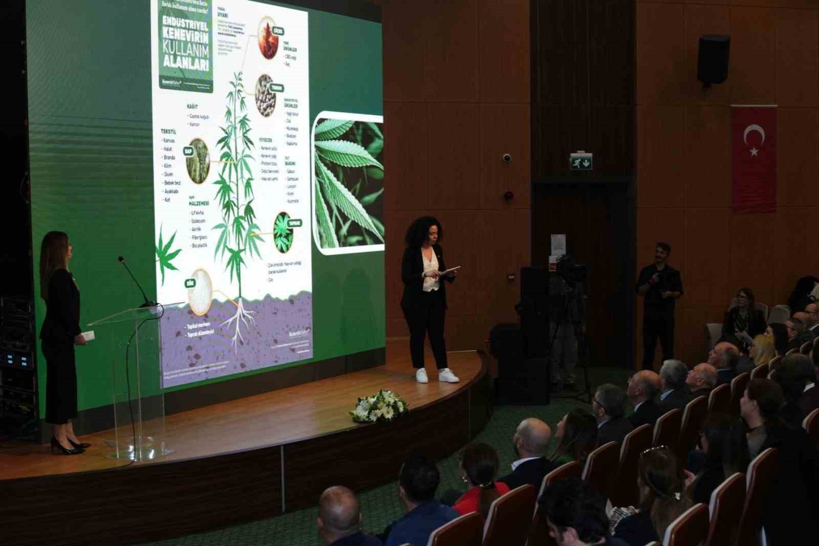 BŞEÜ’de kenevir projesiyle sanayiye katma değerli ürünler kazandırılması hedefleniyor
