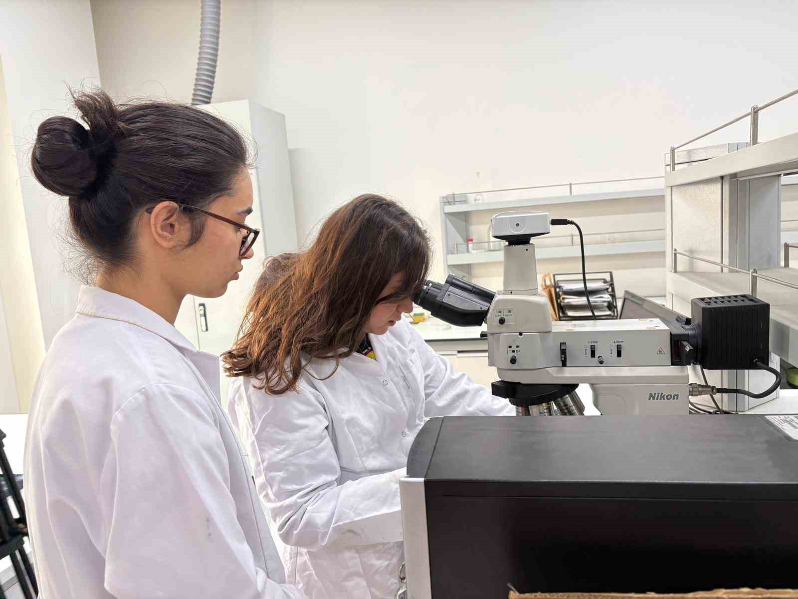 BTÜ’nün tercihten önce üniversiteni yaşa projesi tescillendi
BTÜ’nün tercihten önce üniversiteni yaşa projesi tescillendi