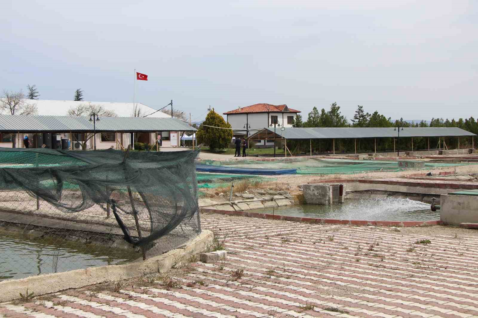 Bu balığın havyarı ’siyah inci’: Karadeniz’e 8 bin adet dağıtılacak, çiple takip edilecek
