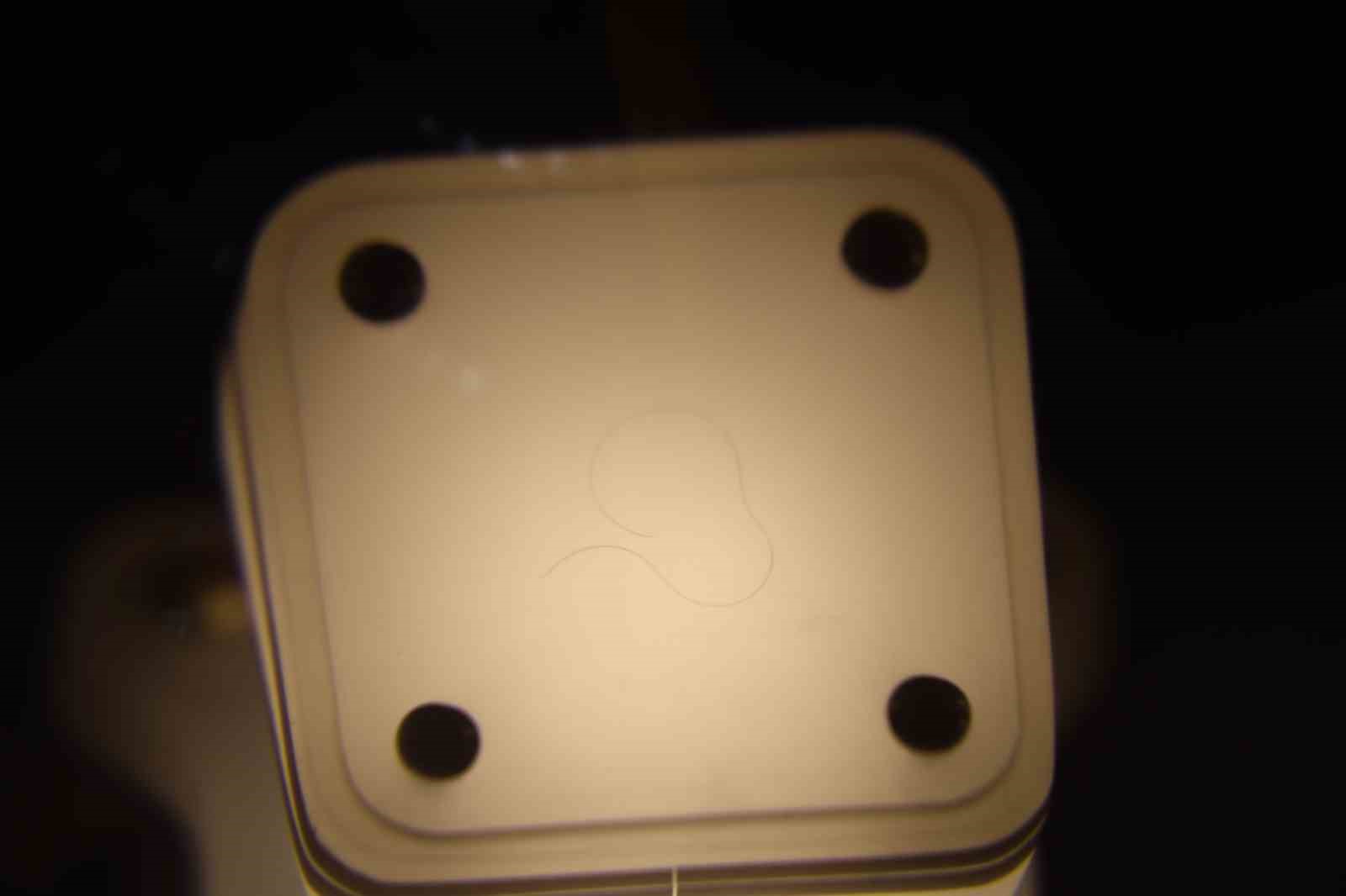 Bu camide Peygamber Efendimiz ’in Sakal-ı Şerifi her gün ziyarete açık
