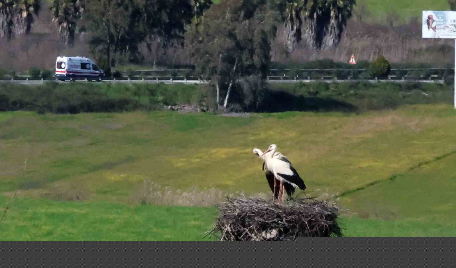 Bu da Leyleğin hırsızı
