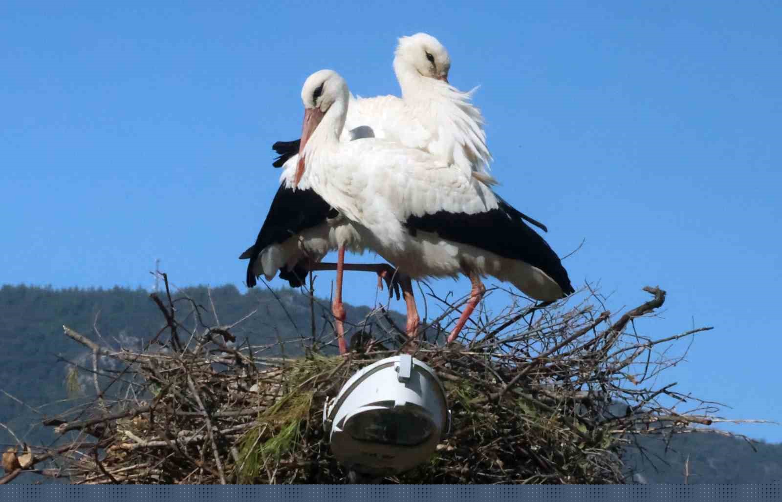 Bu da Leyleğin hırsızı
