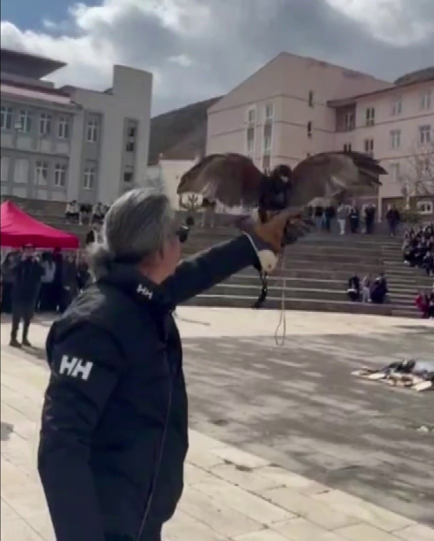 Bu Nevruz diğerlerinden farklı: Kurtlar alanda gezdi, şahin havada uçtu
