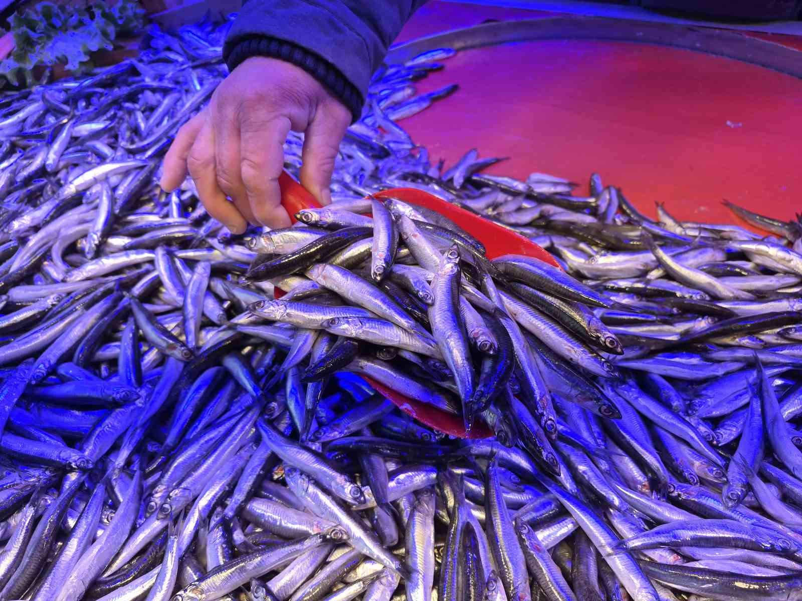 Bu sezon balık tezgahlarının gözdesi sardalya oldu
