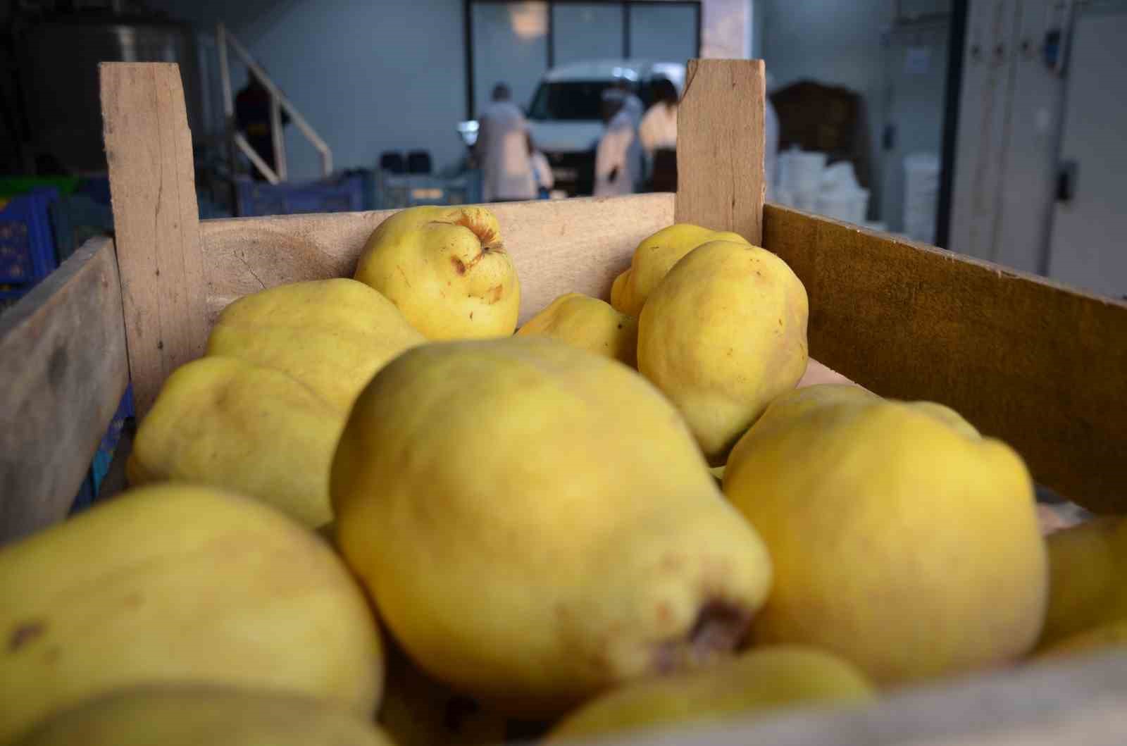 Bu tesiste günde 10 bin adet ayva ve nar lokumu üretiliyor
