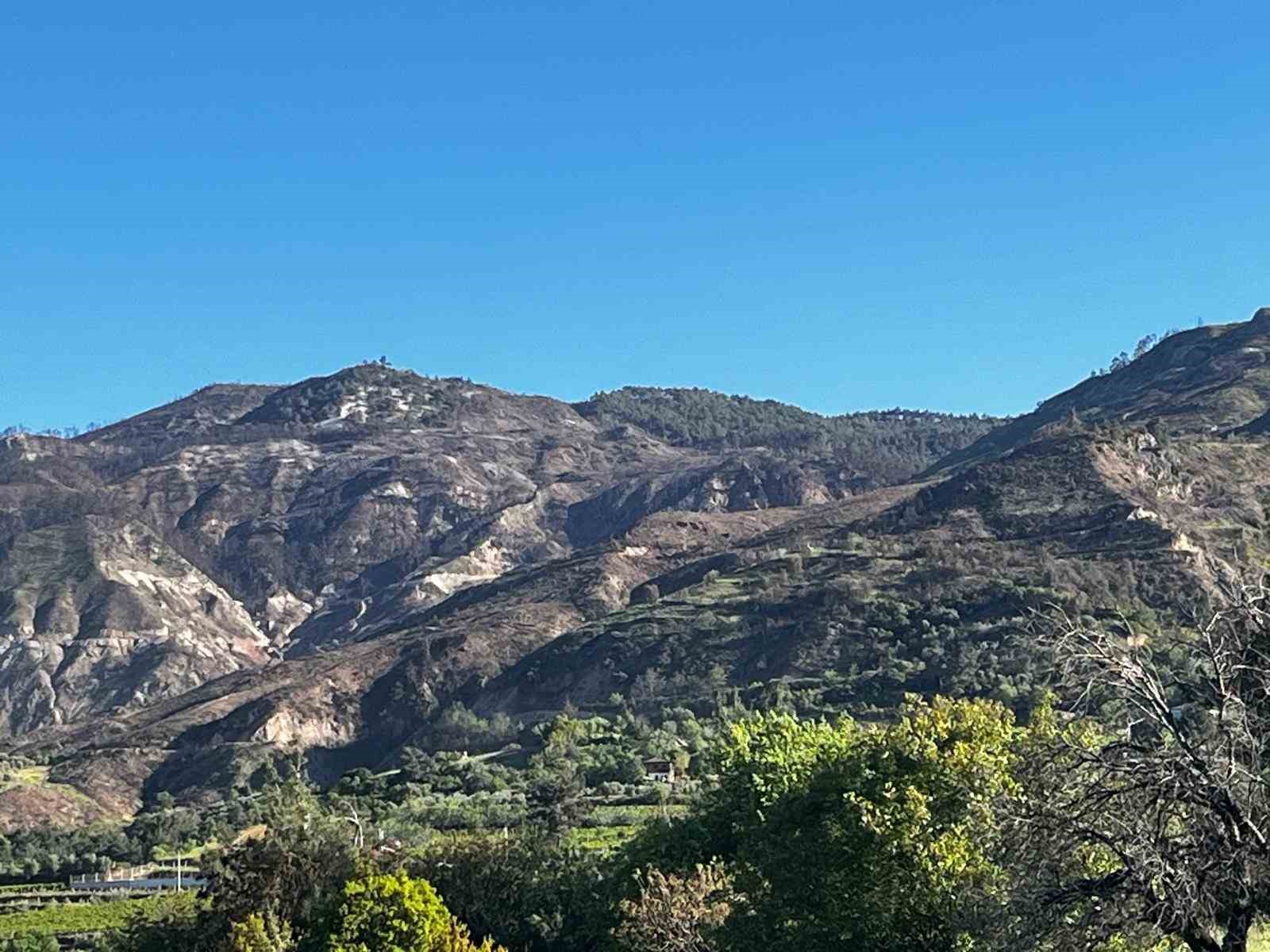 Buldan’da 5 gün süren yangının izleri dağlarda kaldı
