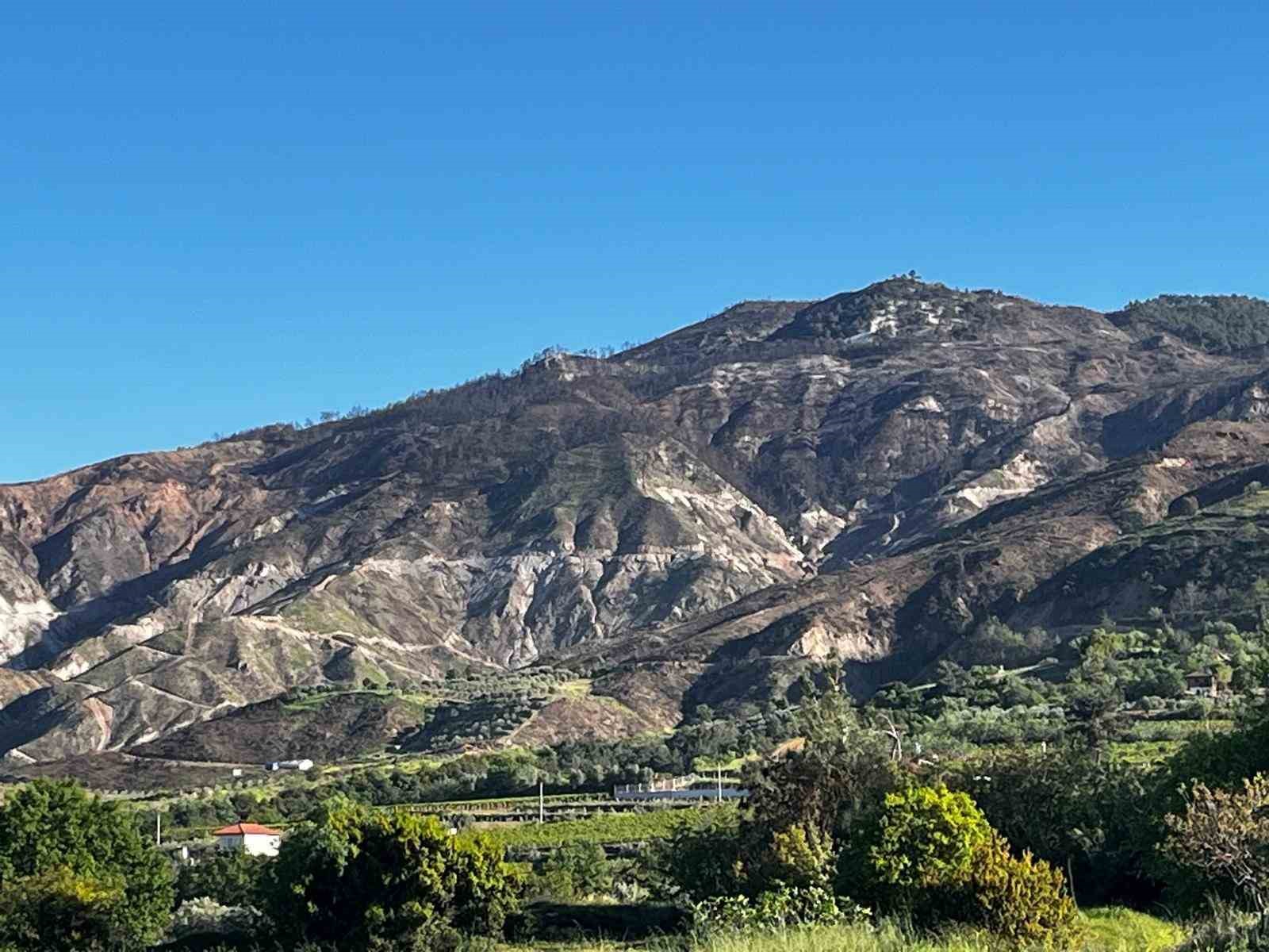 Buldan’da 5 gün süren yangının izleri dağlarda kaldı
