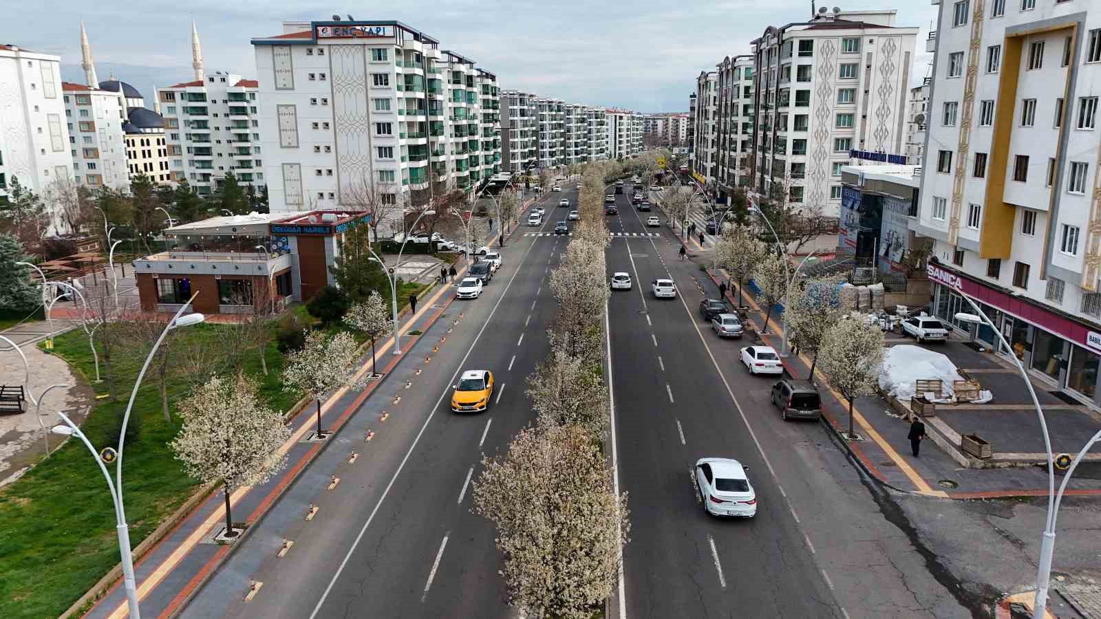 Bulvarlar süs armutlarıyla görsel şölene dönüştü
Bulvarlar süs armutlarıyla görsel şölene dönüştü