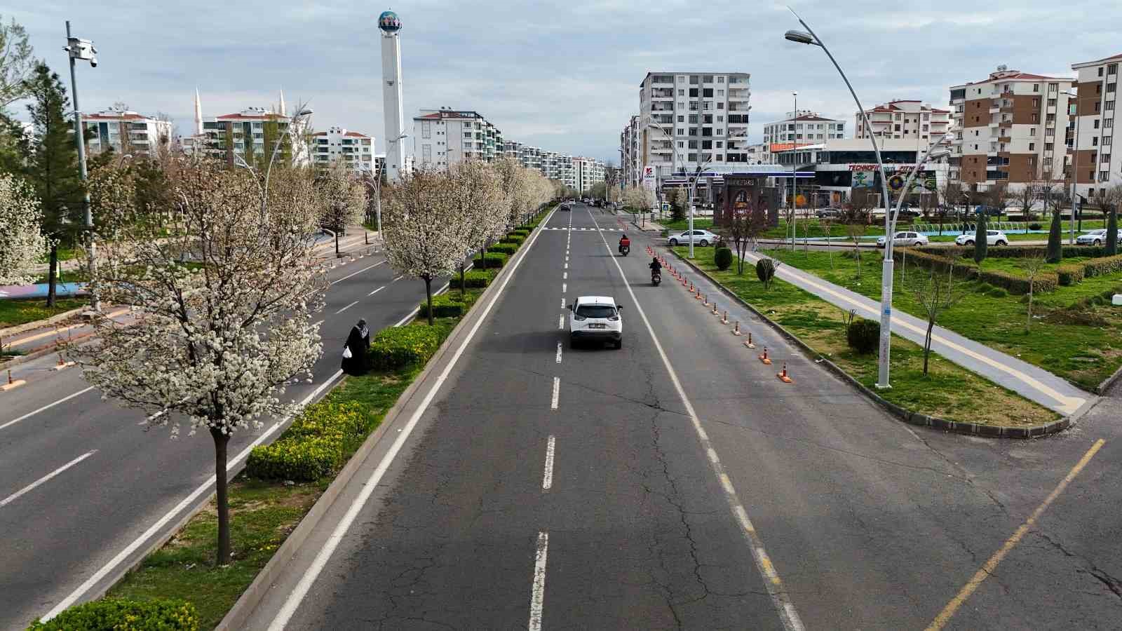 Bulvarlar süs armutlarıyla görsel şölene dönüştü
Bulvarlar süs armutlarıyla görsel şölene dönüştü