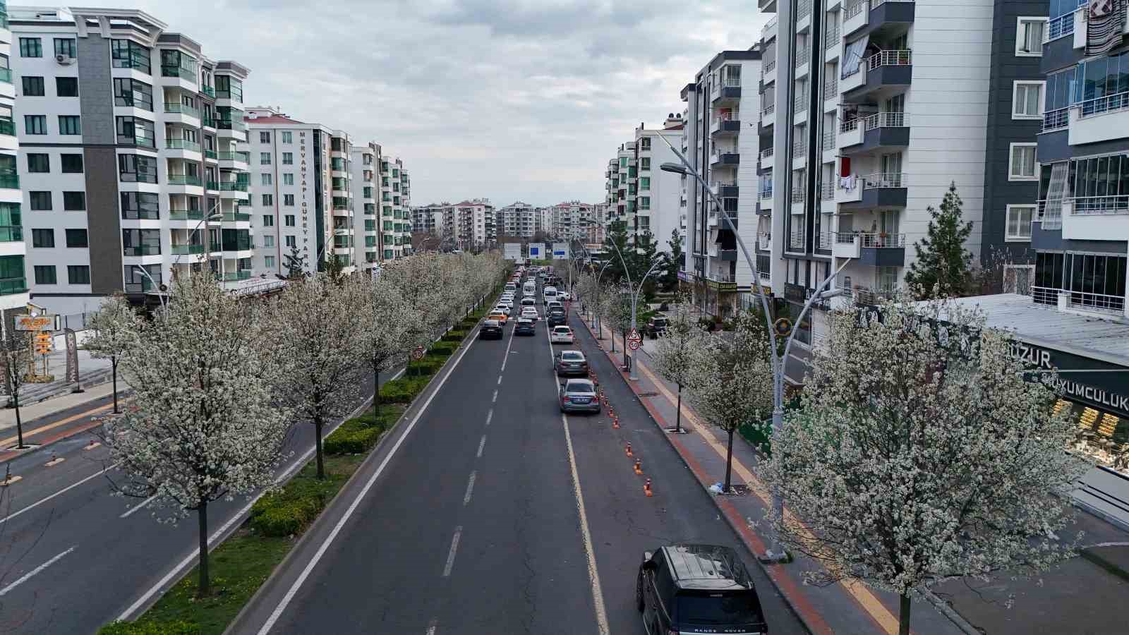 Bulvarlar süs armutlarıyla görsel şölene dönüştü
Bulvarlar süs armutlarıyla görsel şölene dönüştü