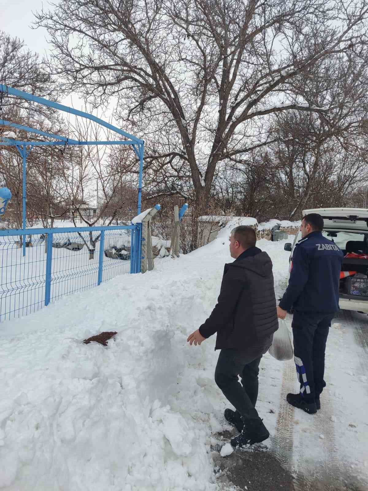 Bünyan’da sokak hayvanlarına mama desteği
