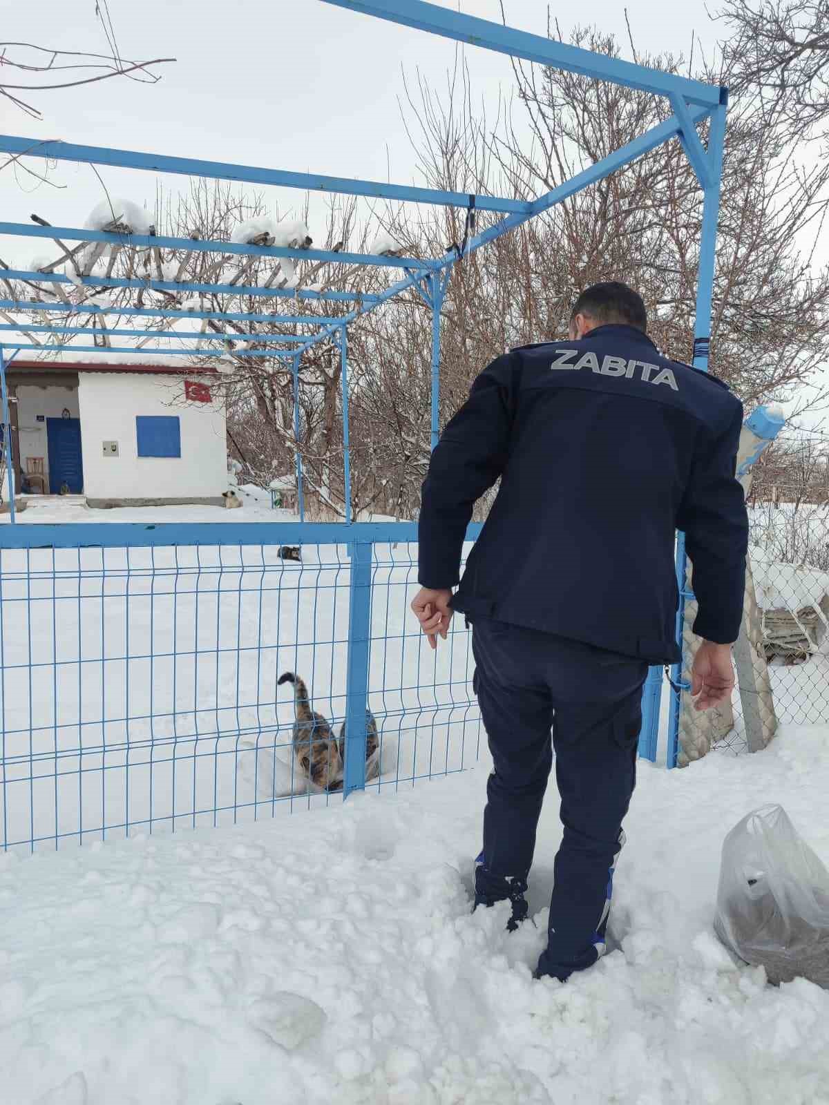 Bünyan’da sokak hayvanlarına mama desteği
