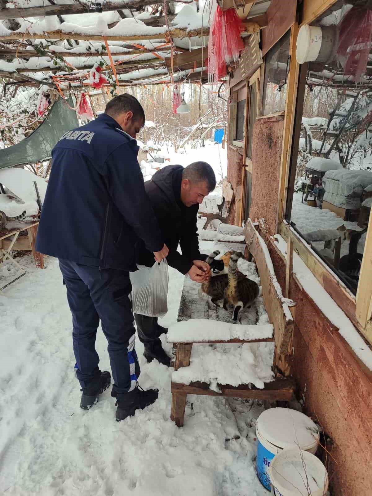 Bünyan’da sokak hayvanlarına mama desteği
