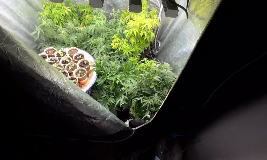 Burdur’da evi uyuşturucu imalathanesine çeviren şüpheli tutuklandı
Burdur’da evi uyuşturucu imalathanesine çeviren şüpheli tutuklandı