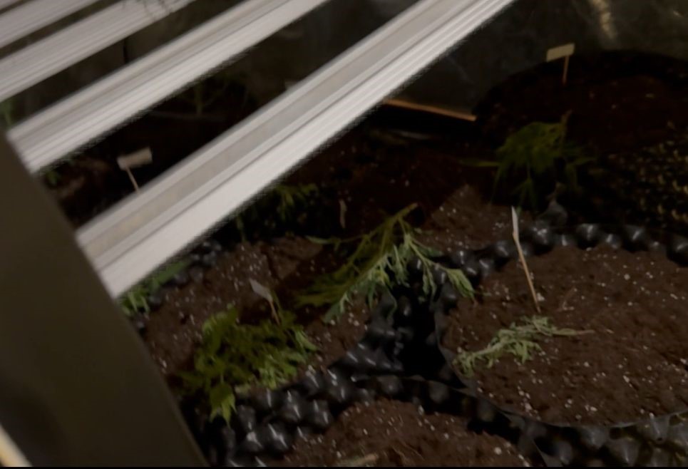 Burdur’da evi uyuşturucu imalathanesine çeviren şüpheli tutuklandı
Burdur’da evi uyuşturucu imalathanesine çeviren şüpheli tutuklandı