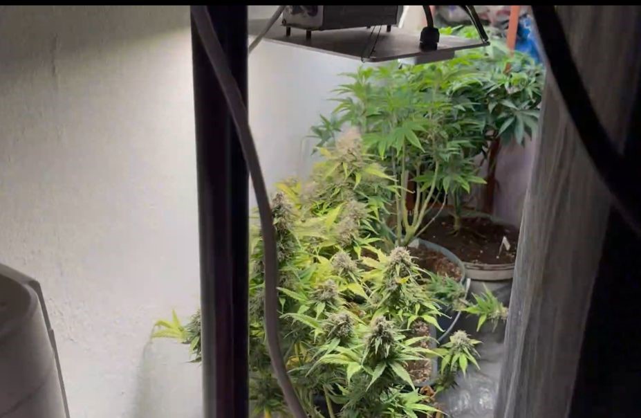 Burdur’da evi uyuşturucu imalathanesine çeviren şüpheli tutuklandı
Burdur’da evi uyuşturucu imalathanesine çeviren şüpheli tutuklandı