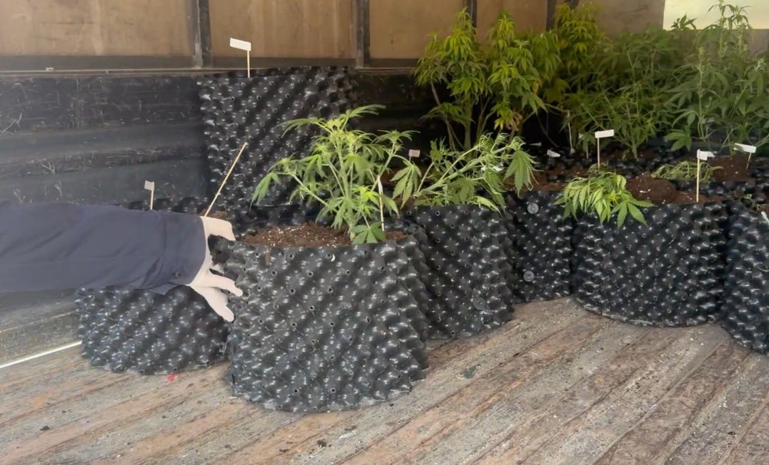 Burdur’da evi uyuşturucu imalathanesine çeviren şüpheli tutuklandı
Burdur’da evi uyuşturucu imalathanesine çeviren şüpheli tutuklandı