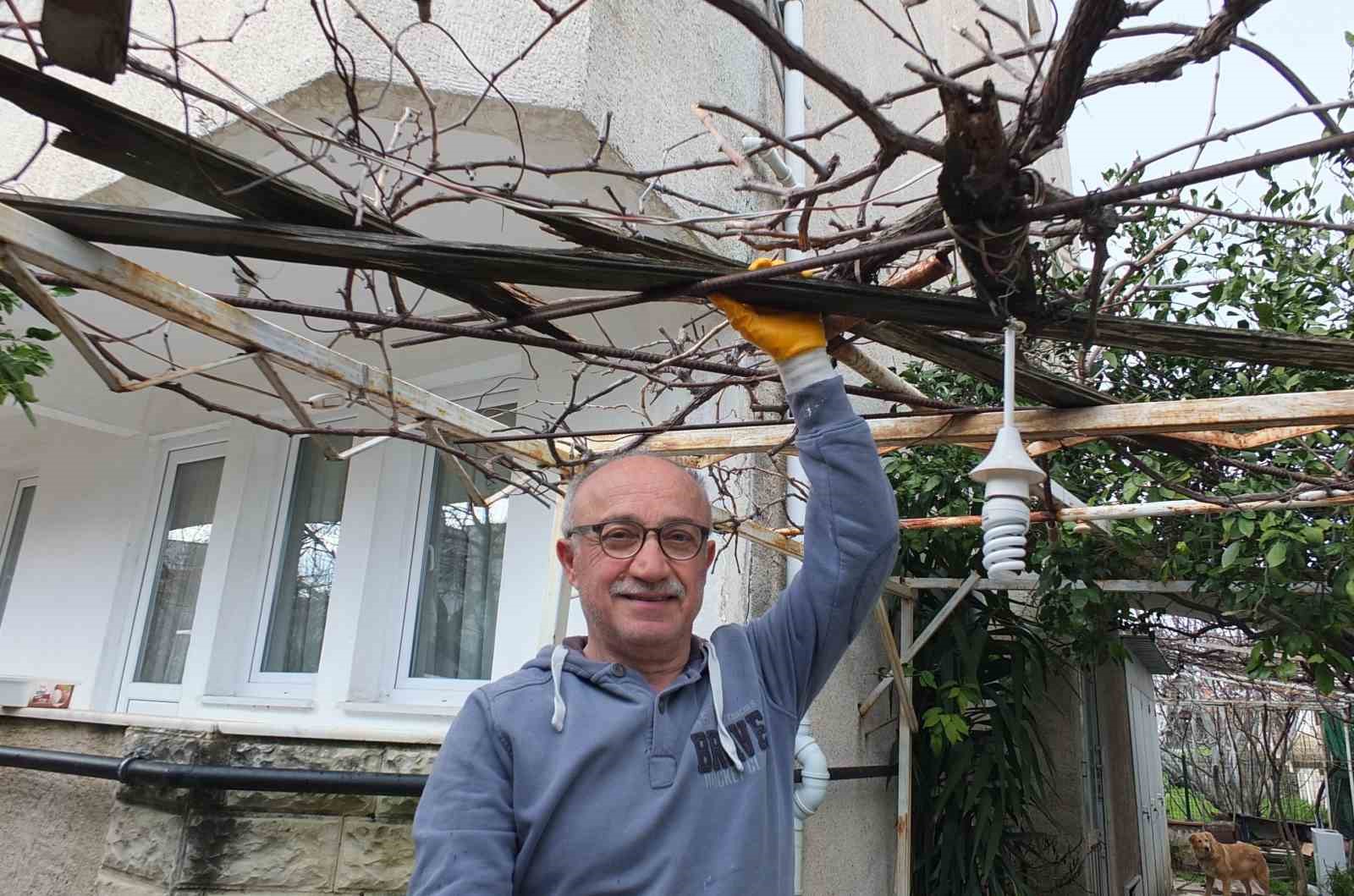 Burhaniye’de asmalarda budama sezonu başladı
