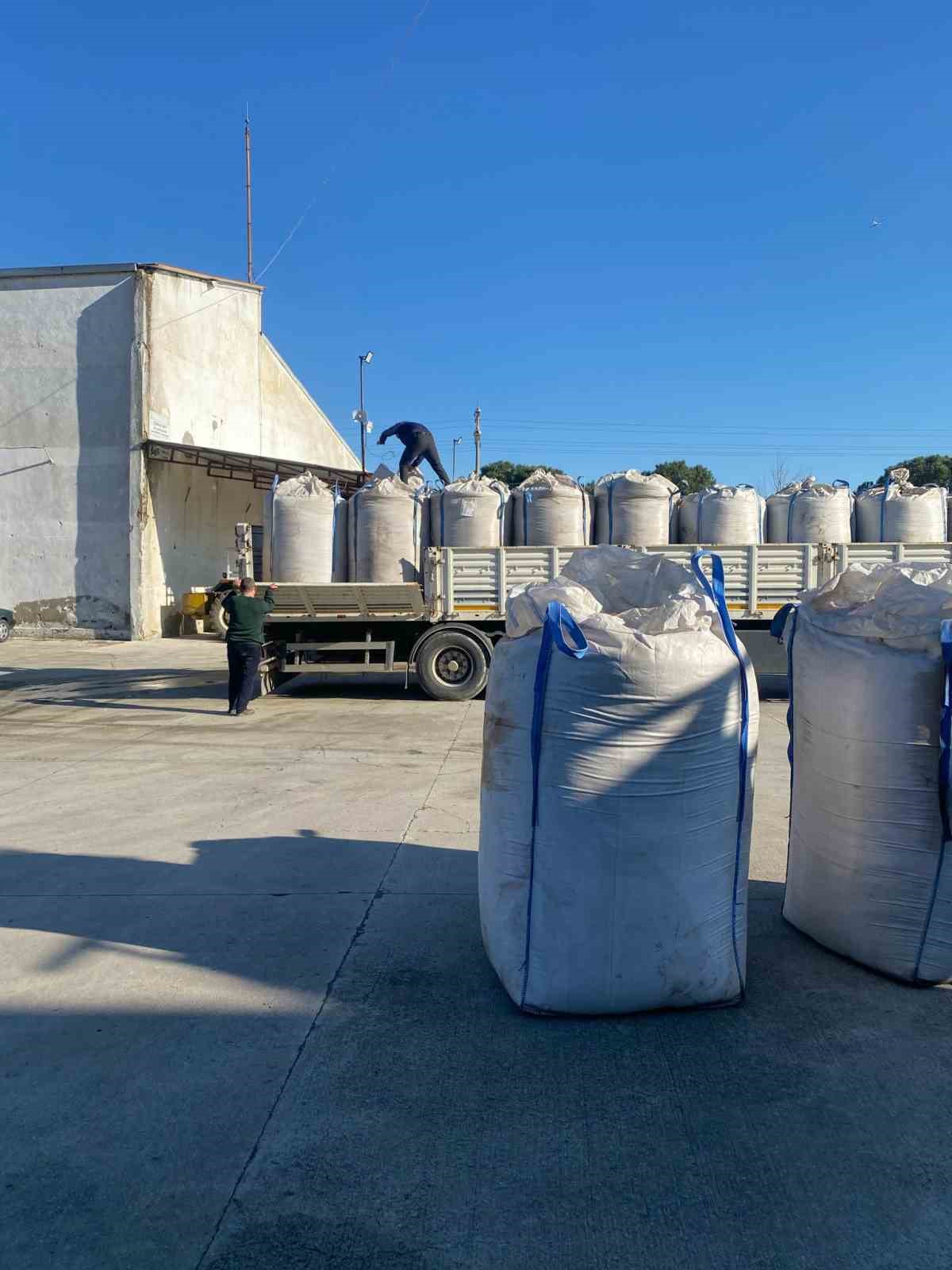 Burhaniye’de zeytin çekirdekleri Yunanistan’a ihraç ediliyor
