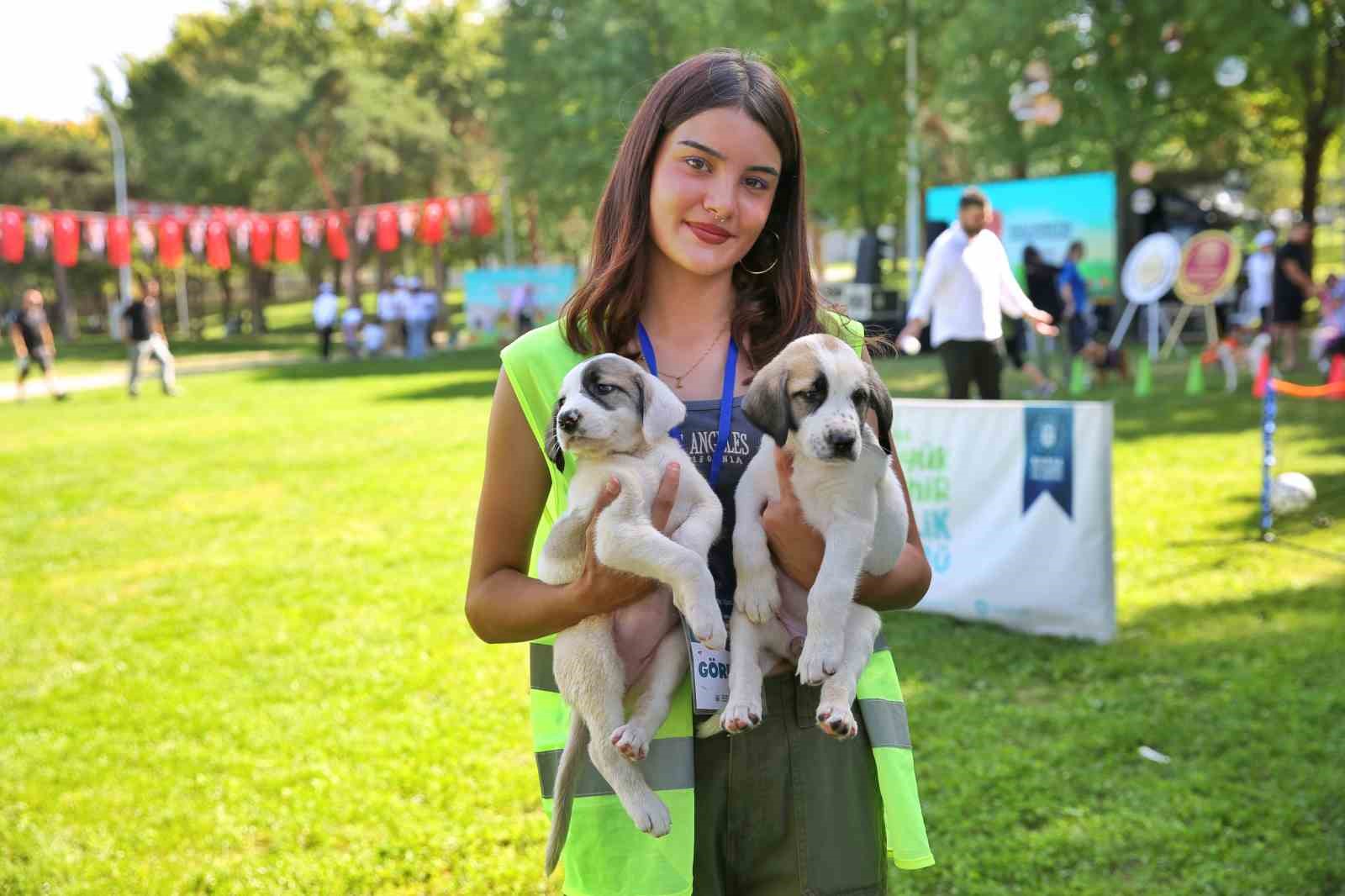 Bursa Büyükşehir Belediyesi patili dostların yanında
Bursa Büyükşehir Belediyesi patili dostların yanında