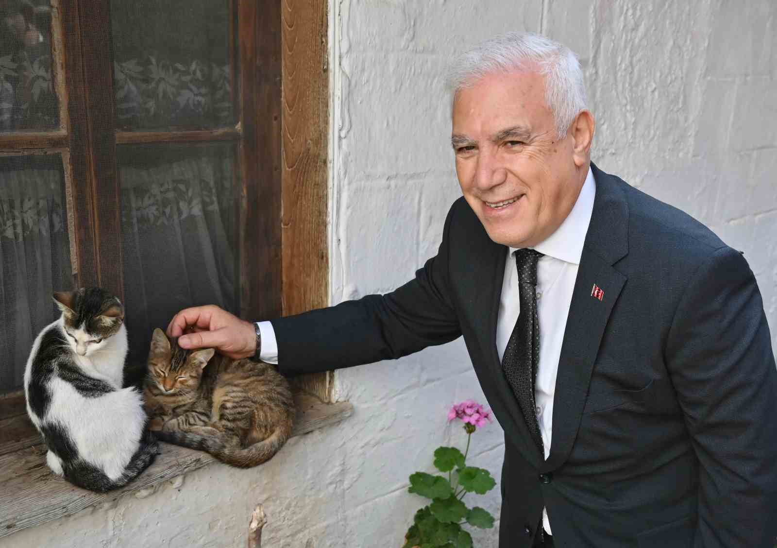 Bursa Büyükşehir Belediyesi patili dostların yanında
Bursa Büyükşehir Belediyesi patili dostların yanında