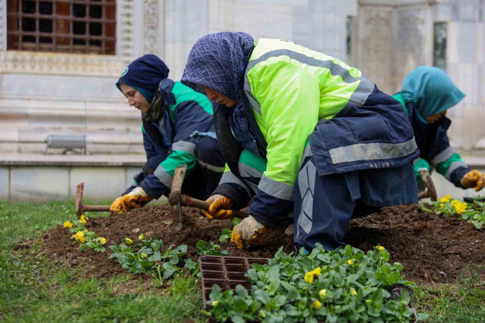 Bursa kışın da çiçek bahçesine dönüşüyor
