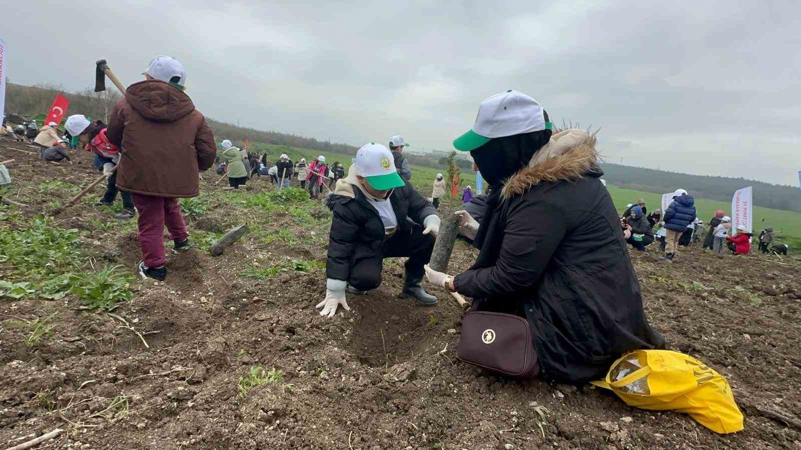 Bursa’da 2 yıl önce yanan 80 hektarlık alan ağaçlandırıldı
