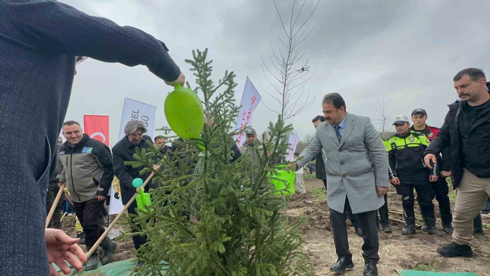 Bursa’da 2 yıl önce yanan 80 hektarlık alan ağaçlandırıldı
