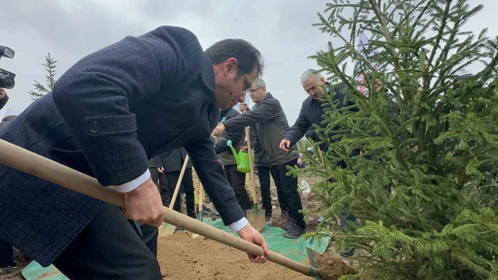 Bursa’da 2 yıl önce yanan 80 hektarlık alan ağaçlandırıldı
