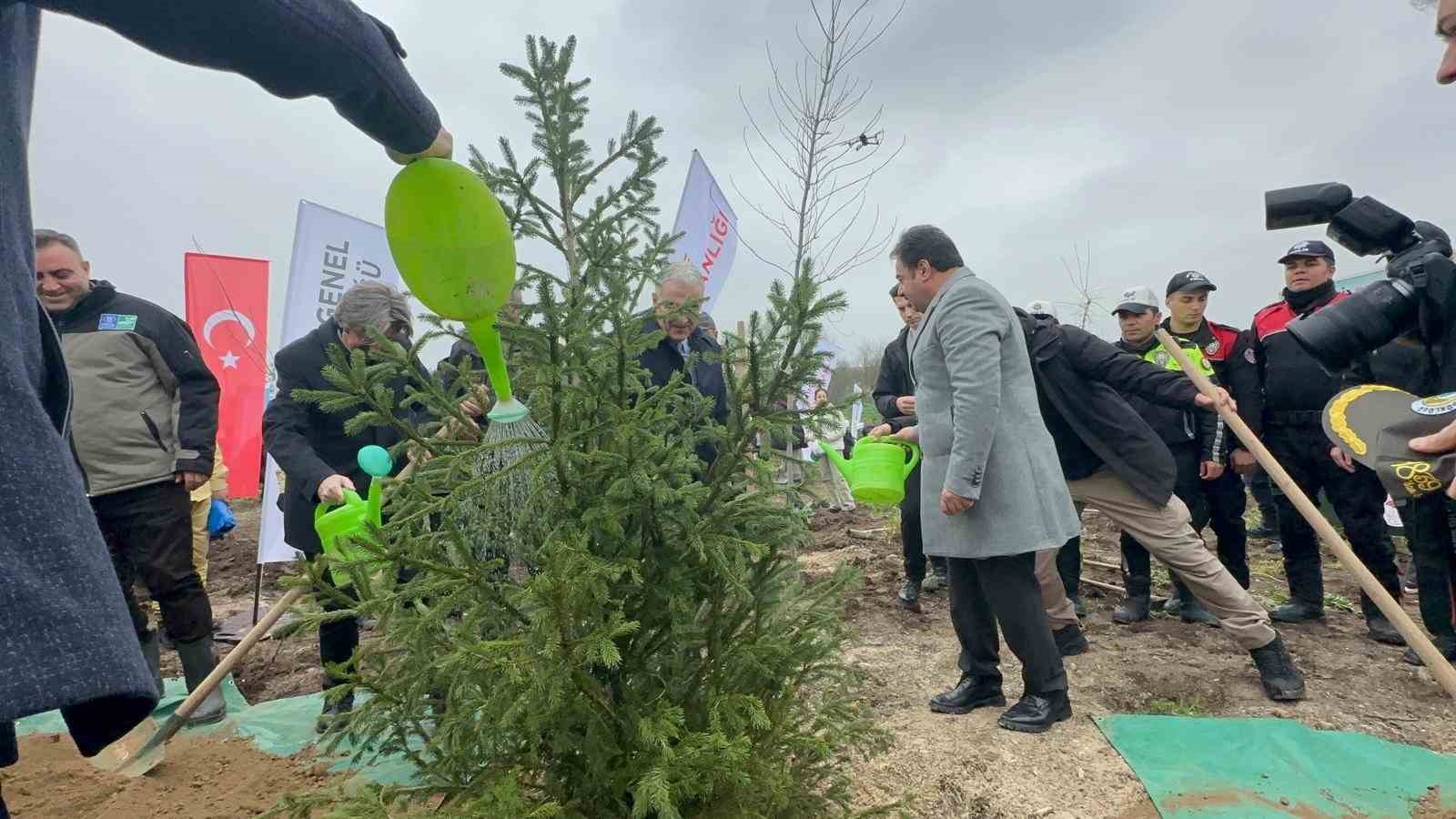 Bursa’da 2 yıl önce yanan 80 hektarlık alan ağaçlandırıldı
