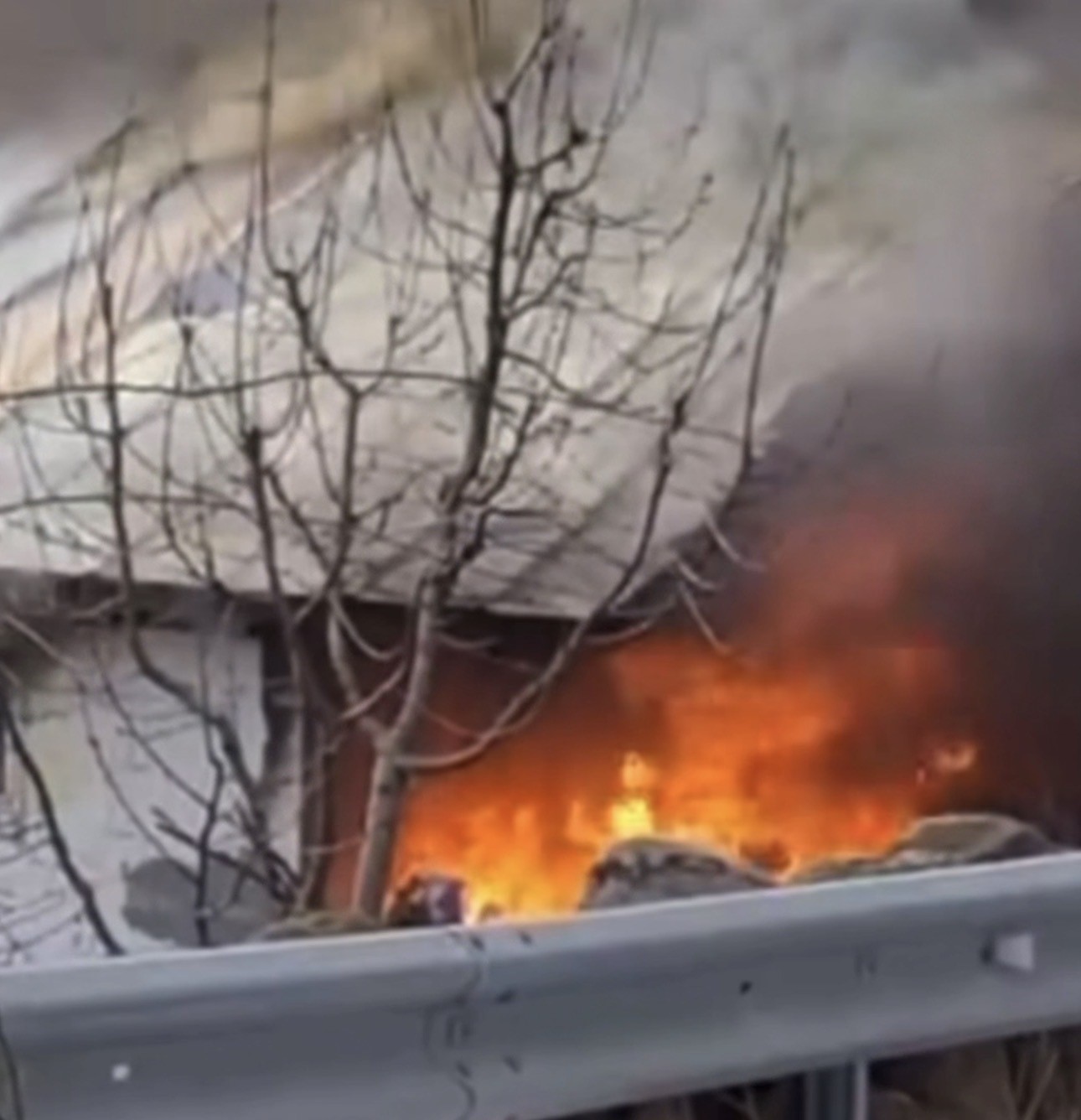 Bursa’da bağ evinde çıkan yangın korkuttu
