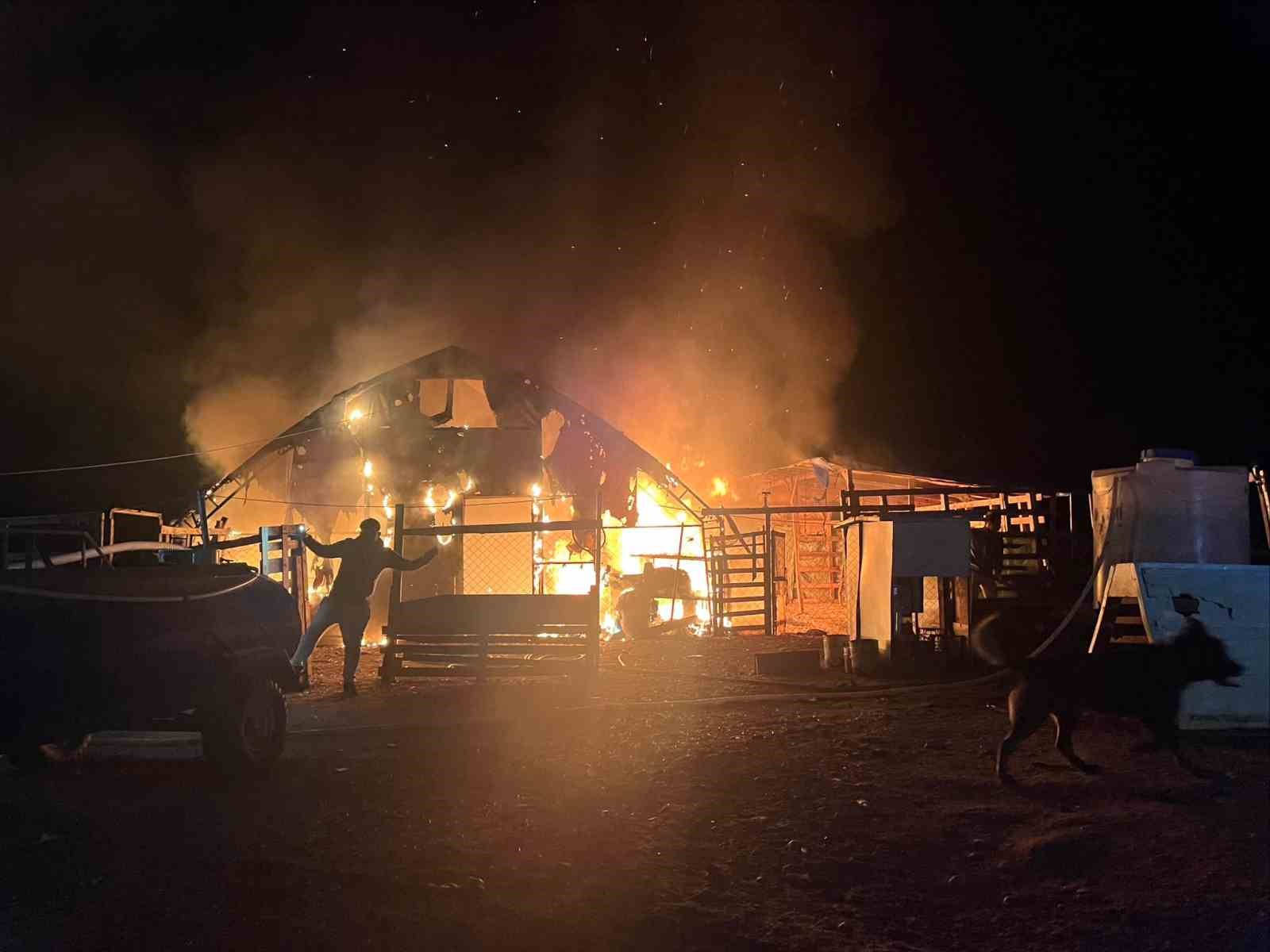 Bursa’da çiftlikte yangın: 580 kanatlı hayvan telef oldu
